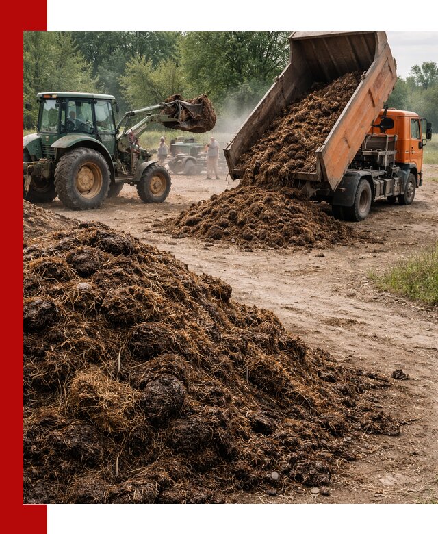 Доставка навоза самосвалами в Новошахтинске для сельхозпотребностей